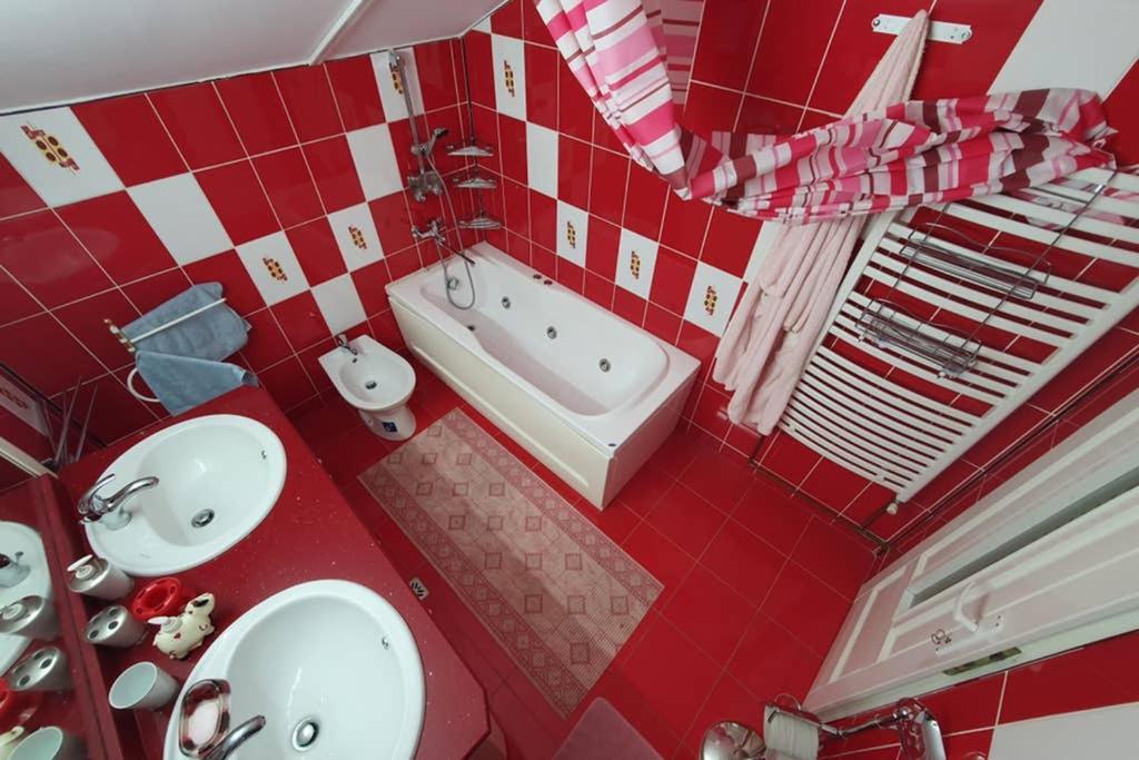 Casa Frizerului - Pets Allowed For Free & Moto Friendly Apartment Sebes  Exterior photo